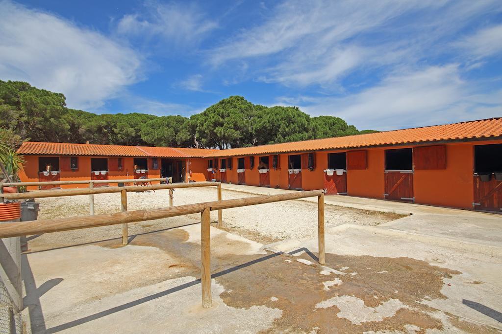 فيلا Quinta Da Bicuda كاسكايس المظهر الخارجي الصورة